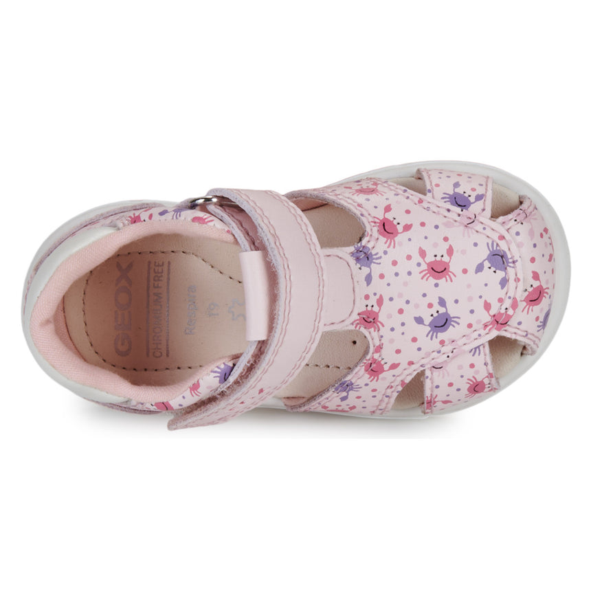 Geox B Sandal Zapito Παιδικά Πέδιλα για Κορίτσι Ροζ B556FB 05404 C0811