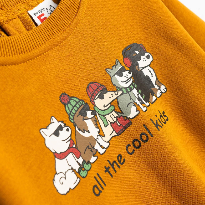 FUNKY FOR KIDS 226-817110-2 Boy's sweatshirt and tracksuit set for months