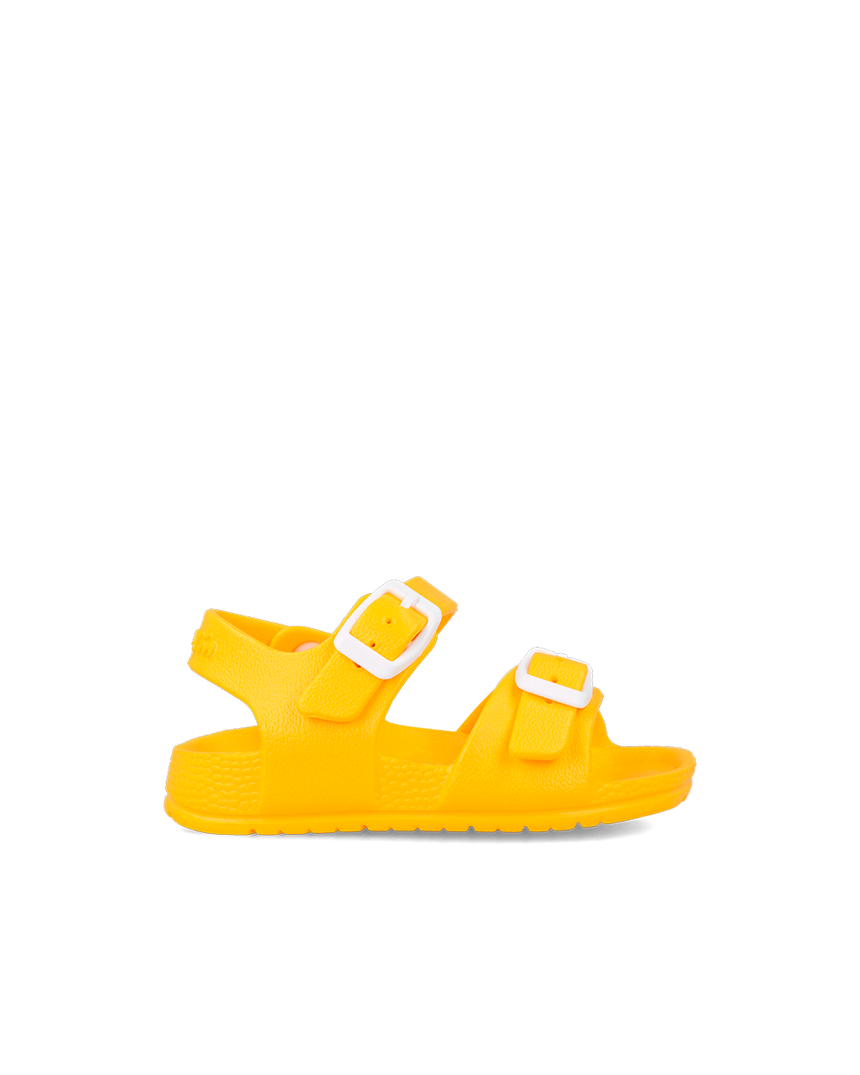 242870-C-01