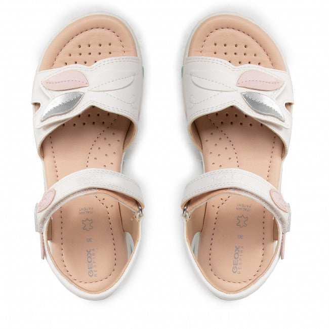 geox6