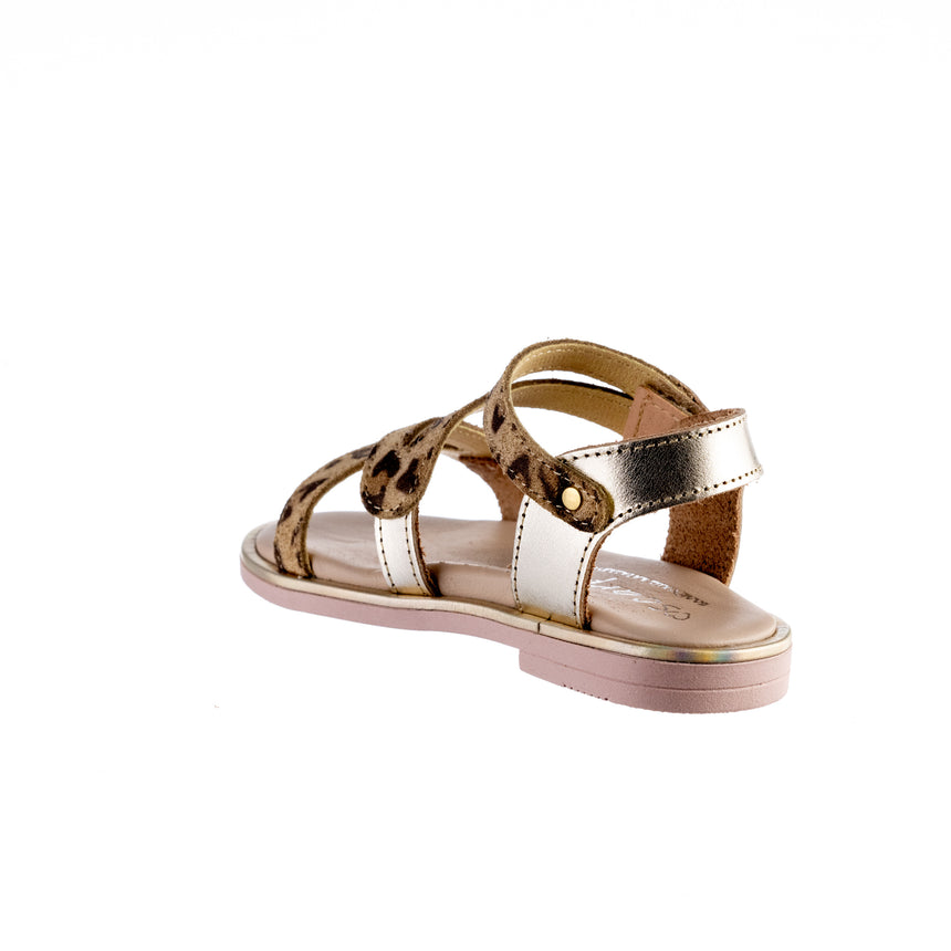 Bonito AK25-574 SANDAL λεοπαρ