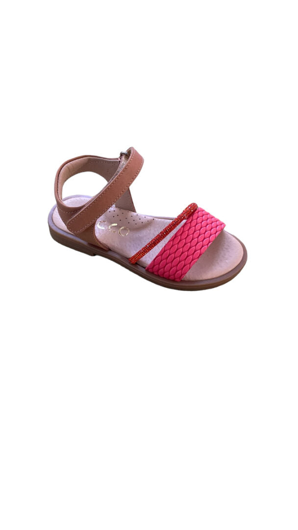 RHSK8565